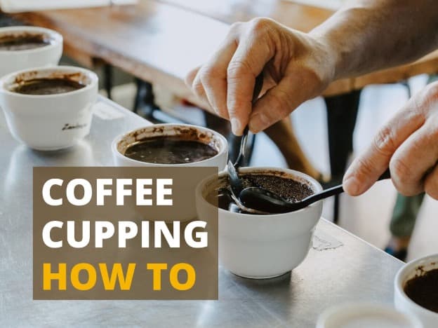 How to Cup and Taste Coffee like a Pro