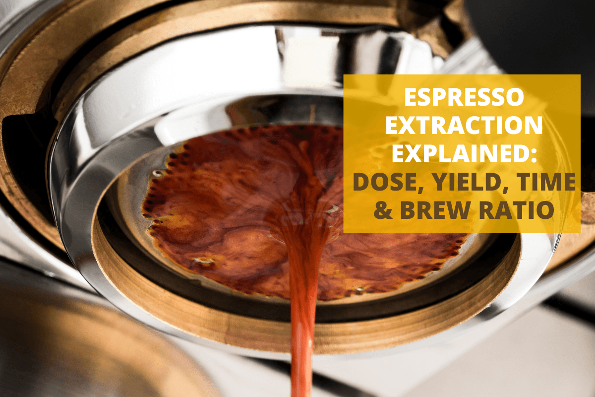 Espresso Extraction Explained: Dose, Yield, Time & Brew Ratio