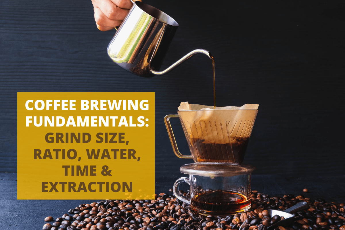 Coffee Brewing Fundamentals: Grind Size, Ratio, Water, Time & Extraction
